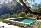The pool nestled in the olive grove...